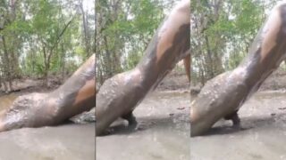 Filthy Mud-soaked Fuck: A Desperate Addict’s Xxx Reckoning